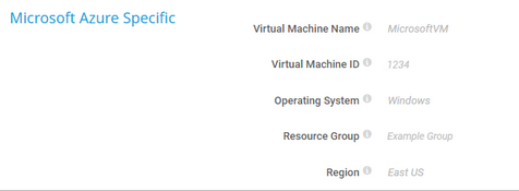 Microsoft Azure Specific